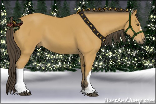 Horse Color: Buckskin 