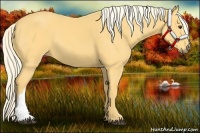 Horse Color:Palomino