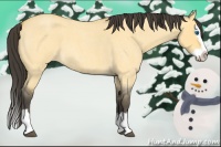 Horse Color:Buckskin Roan Dun Splash 