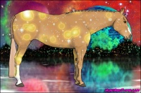 Horse Color:Palomino 