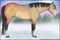 Horse Color:Buckskin Roan Dun Splash 