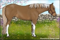 Horse Color:Chocolate Palomino Tobiano 