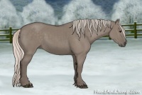 Horse Color:Silver Grullo 