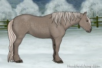 Horse Color:Silver Grullo 