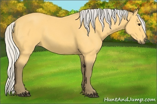Horse Color: Silver Buckskin 