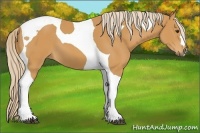 Horse Color:Palomino Tobiano 