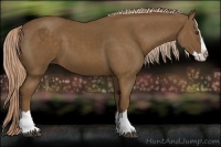 Horse Color:Chocolate Palomino Splash
