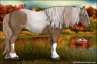 Horse Color:Chocolate Palomino 