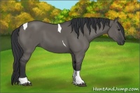 Horse Color:Grullo Tobiano 