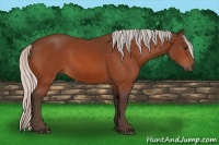 Horse Color:Silver Bay 