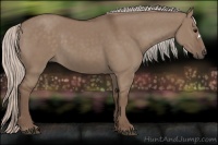 Horse Color:Silver Grullo
