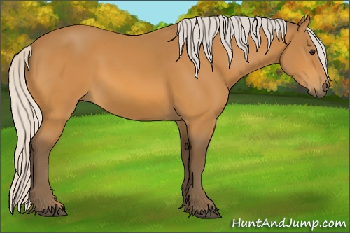 Horse Color: Silver Buckskin 