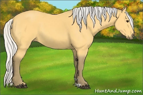Horse Color: Silver Buckskin 