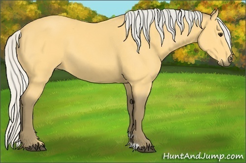 Horse Color: Silver Buckskin 