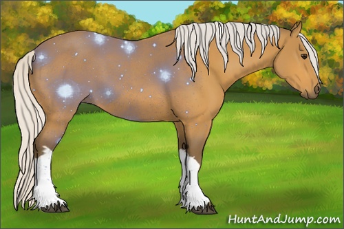 Horse Color: Silver Buckskin 