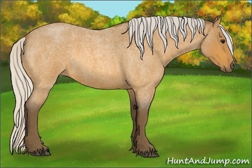 Horse Color: Silver Buckskin Roan 