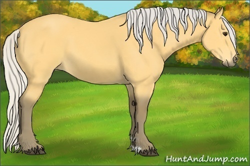 Horse Color: Silver Buckskin 