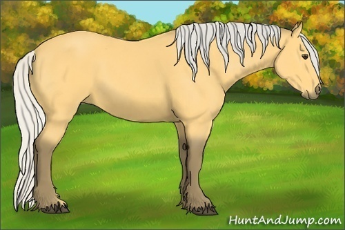 Horse Color: Silver Buckskin 