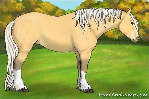 Horse Color: Silver Buckskin 