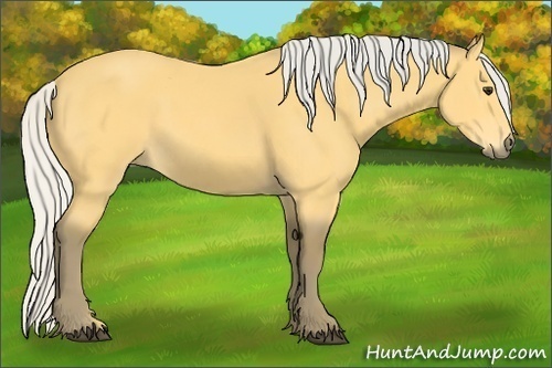 Horse Color: Silver Buckskin 
