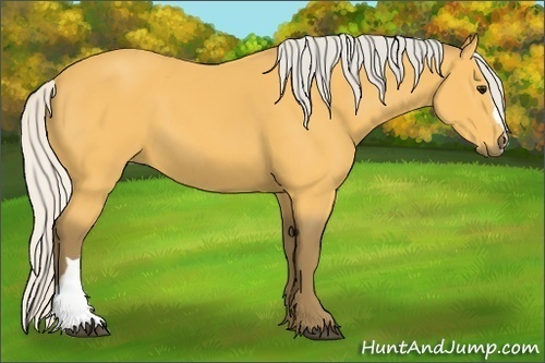 Horse Color: Silver Buckskin 