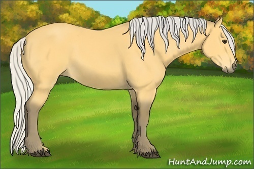 Horse Color: Silver Buckskin 