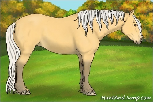 Horse Color: Silver Buckskin 