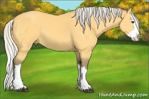 Horse Color: Silver Buckskin Splash 
