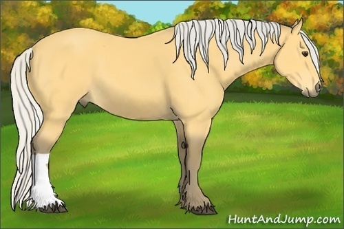 Horse Color: Silver Buckskin 