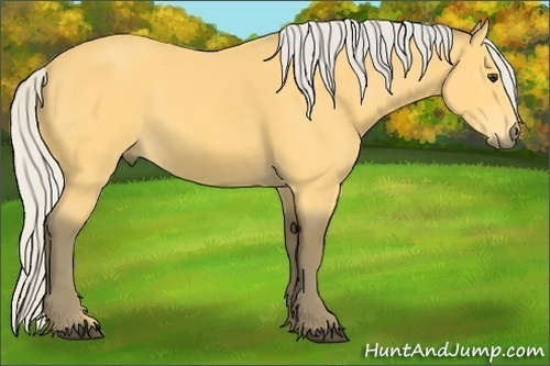 Horse Color: Silver Buckskin 