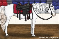 Horse Color:Chestnut Blanket 