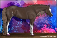 Horse Color:White Spotted Liver Chestnut Sabino 