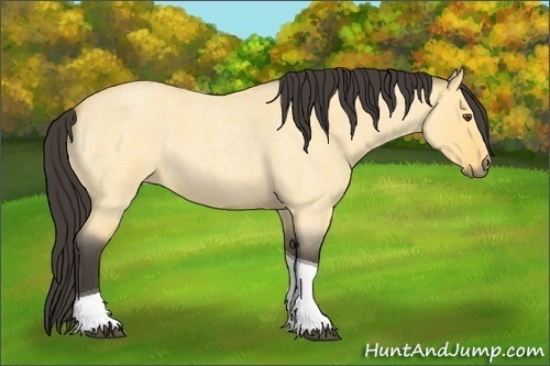 Horse Color: Buckskin Roan Dun Tobiano 