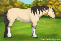 Horse Color:Buckskin Roan Dun Tobiano 
