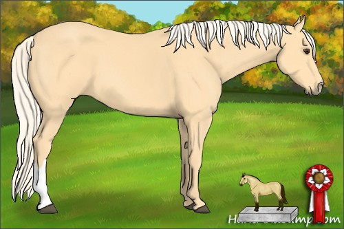 Horse Color: Palomino 