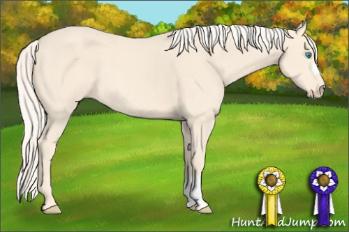Horse Color: Cremello 