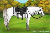 Horse Color:Gray Silver Bay Dun 