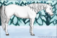 Horse Color:Gray Brown Splash Tobiano 