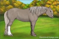 Horse Color:Silver Grullo 