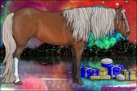 Horse Color:Silver Bay