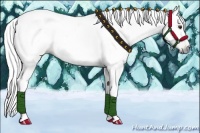 Horse Color:Gray Chestnut 