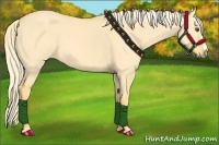 Horse Color:Palomino Dun 