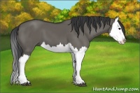 Horse Color:Grullo Splash 