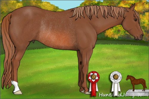 Horse Color: Liver Chestnut Rabicano 