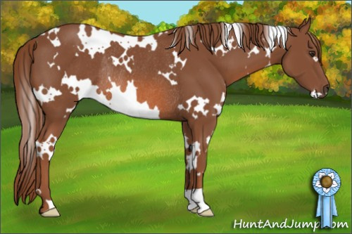Horse Color: White Spotted Liver Chestnut Rabicano 