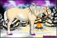 Horse Color:White Spotted Gold Cream Champagne 