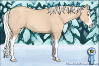 Horse Color:Silver Classic Champagne Roan Dun Splash 