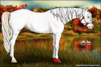 Horse Color:White Spotted Gold Cream Champagne 