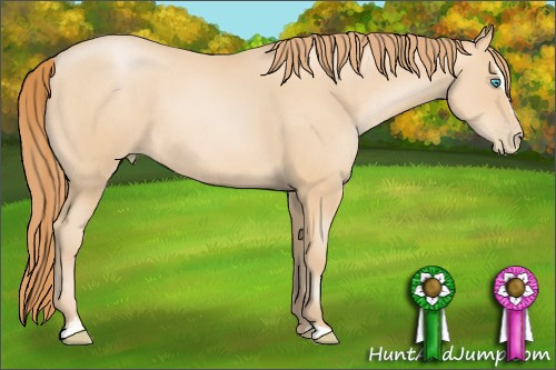 Horse Color: Buckskin Pearl Sabino 
