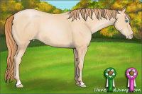 Horse Color:Buckskin Pearl Sabino